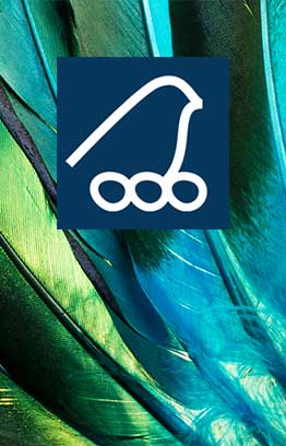 Suomen Riistanhoito-Säätiö